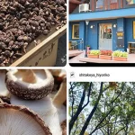 今年もよろしくお願い致します。